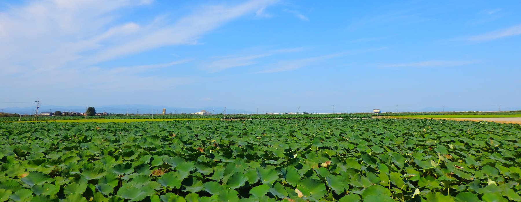 人と大地がうるおい輝く“豊穣のまち”